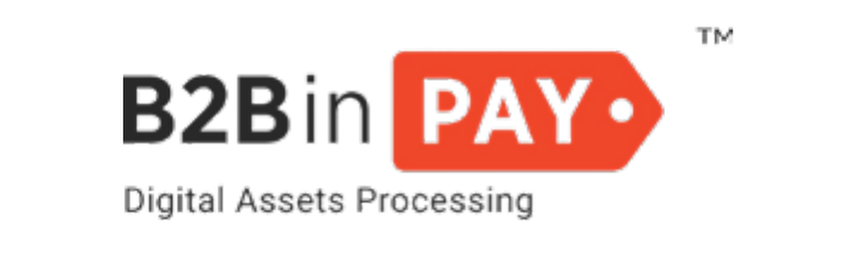 B2B in Pay logo